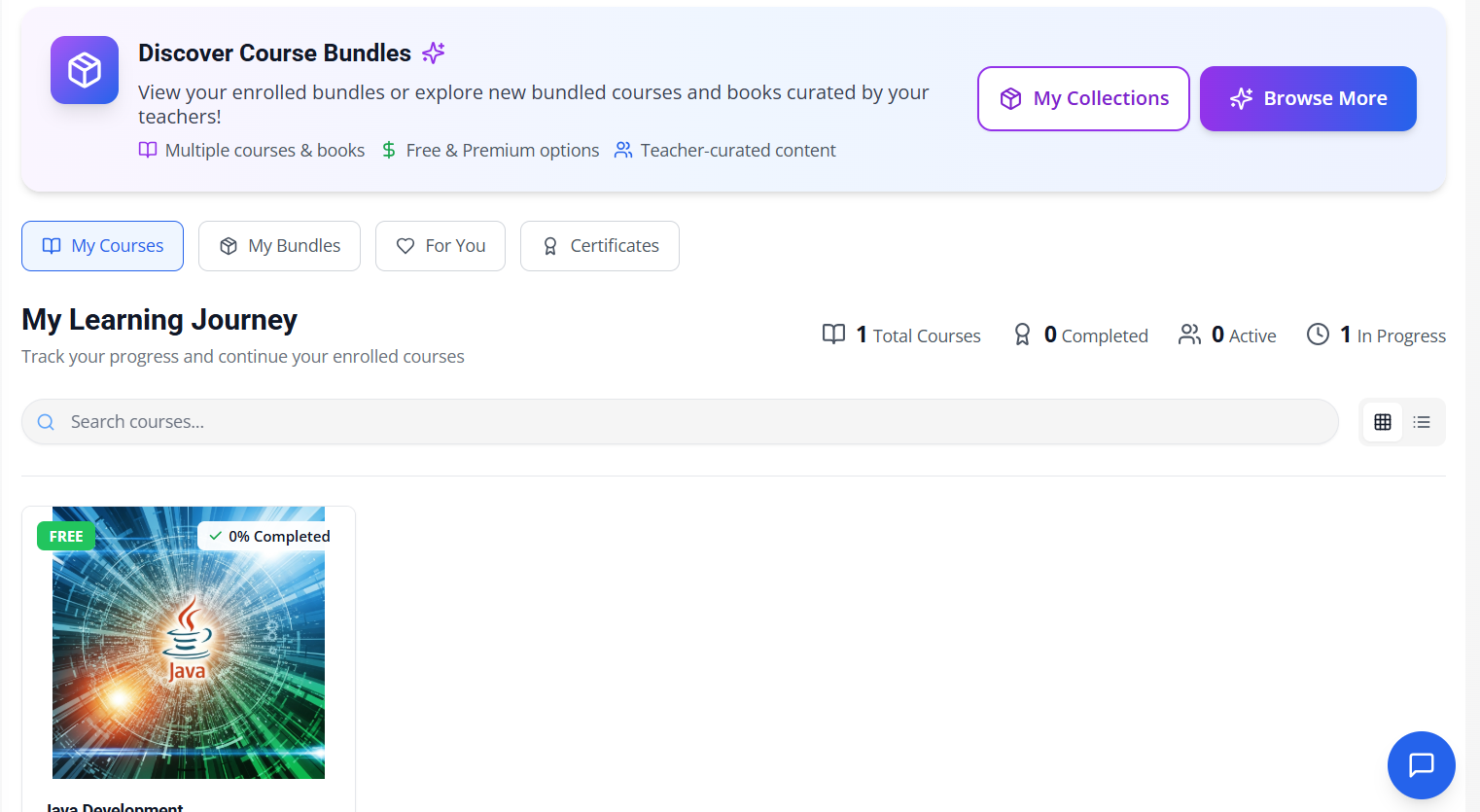Student Portal — Learning journey with course progress tracking and bundles